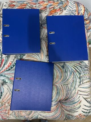 temario repartido en 3 carpetas duras de anillas