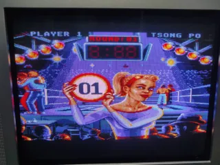 Super Nintendo SNES Best of the Best Karate PAL