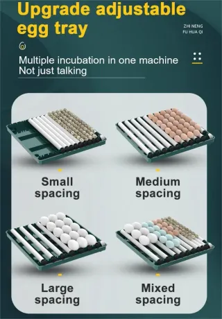 Incubadora 36 huevos automática dual-eléctrica