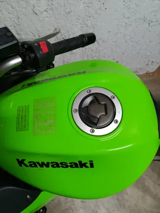 Kawasaki ER6F 2008 Verde