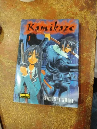 Lotes de mangas sueltos