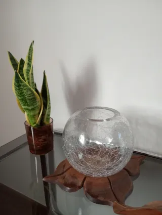 Bombonera diseño