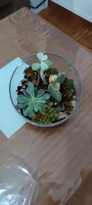 Terrario de cristal con plantas