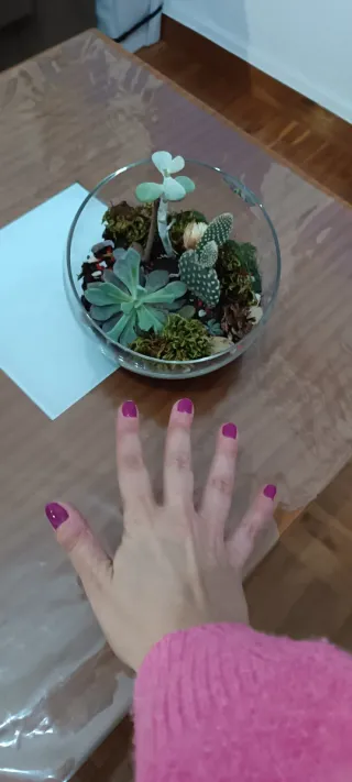 Terrario de cristal con plantas