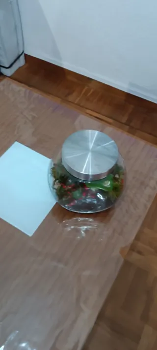 Terrario de cristal con plantas