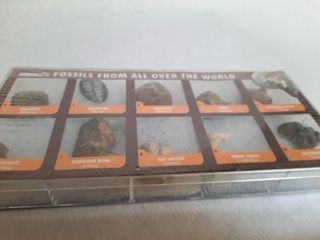 CAJA 10 FOSILES DEL MUNDO ¡¡NUEVA!!