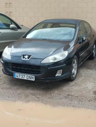 Peugeot 407 2006