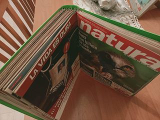 12 REVISTAS NATURA ENCUADRENADAS