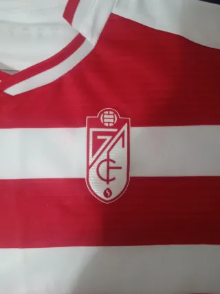 Camisola Granada Oficial Joma S