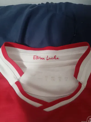 Camisola Granada Oficial Joma S