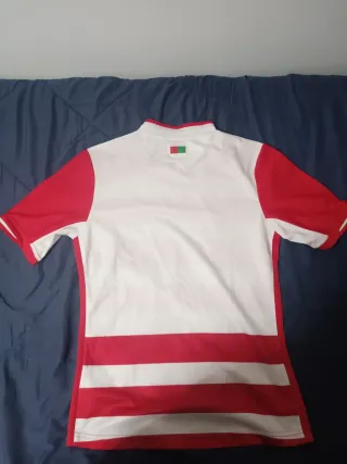 Camisola Granada Oficial Joma S