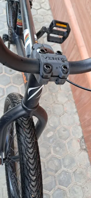 Bicicleta BMX Marca Verde 20