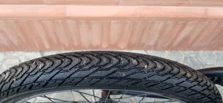 Bicicleta BMX Marca Verde 20