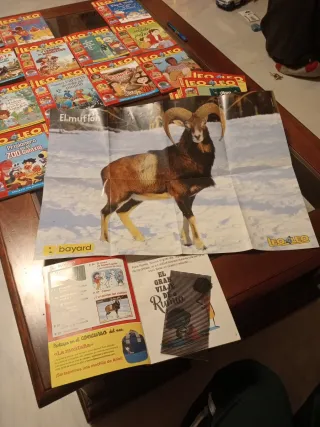 Revistas Leo Leo