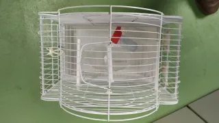 Jaula para pájaros blanca