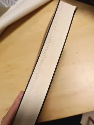 Cazadora de hadas (Wicked Trilogy) (Spanish Edi...