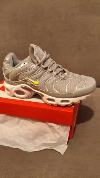 Sapatilhas Nike Air Max Plus Cinza/Prata