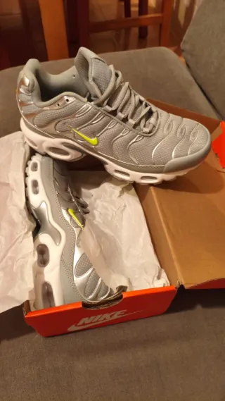 Sapatilhas Nike Air Max Plus Cinza/Prata
