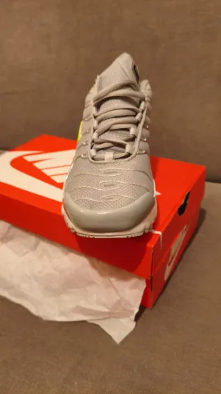 Sapatilhas Nike Air Max Plus Cinza/Prata