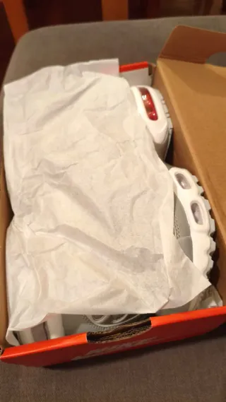 Sapatilhas Nike Air Max Plus Cinza/Prata