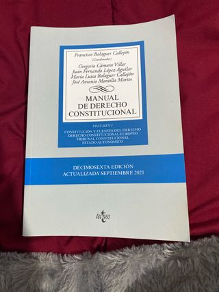 Manual de Derecho Constitucional: Vol. I: Const...