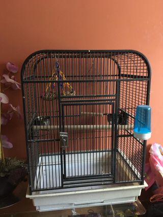 Jaula para loro