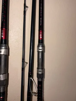 Cañas Daiwa Liberty Surfcasting