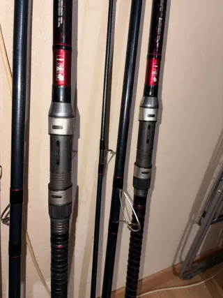 Cañas Daiwa Liberty Surfcasting