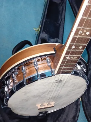 Banjo Ashton 5 cuerdas