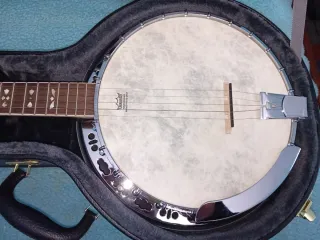 Banjo Ashton 5 cuerdas