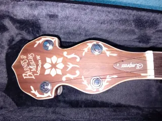 Banjo Ashton 5 cuerdas