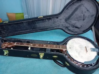 Banjo Ashton 5 cuerdas