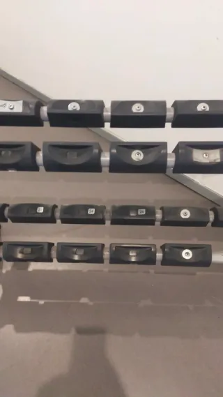 Mancuernero Technogym