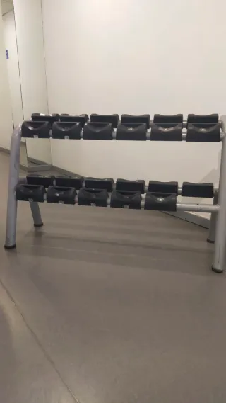 Mancuernero Technogym