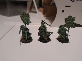 Warhammer ESDLA Ejército Muertos Sagrario