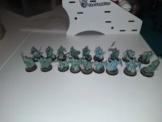 Warhammer ESDLA Ejército Muertos Sagrario
