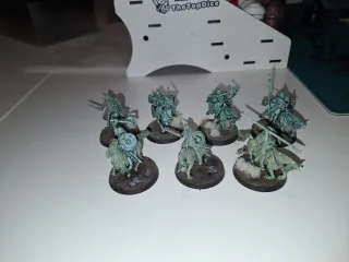 Warhammer ESDLA Ejército Muertos Sagrario