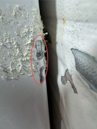 Frigorífico Combi Winia Blanco No Frost