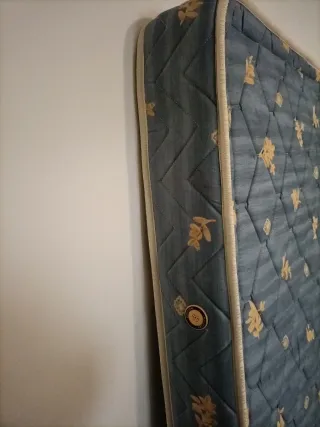 Somier y Colchón,  era de una cama infantil nido.