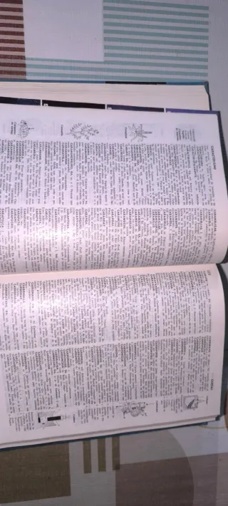 Enciclopedia concisa ilustrada La Fuente