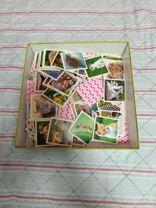 Juego Identic Memo Game Natura Educa