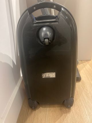 Aspiradora miele