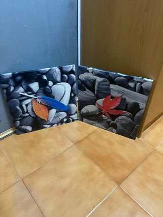 Par de cuadros decorativos