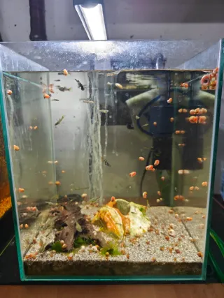 Acuarios completos