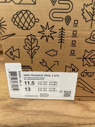 Nike Pegasus Trail 5 GTX