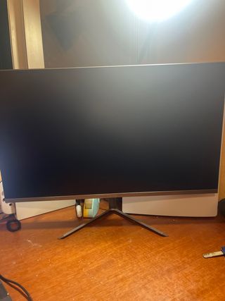 Monitor Peaq 24 Plata/Negro