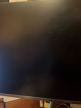 Monitor Peaq 24 Plata/Negro