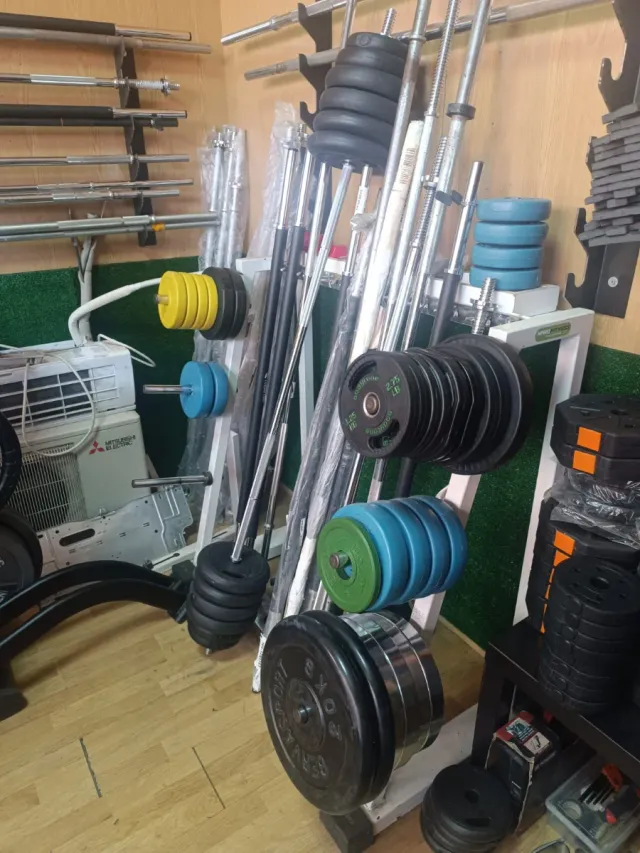 Mancuernas y discos de gimnasio