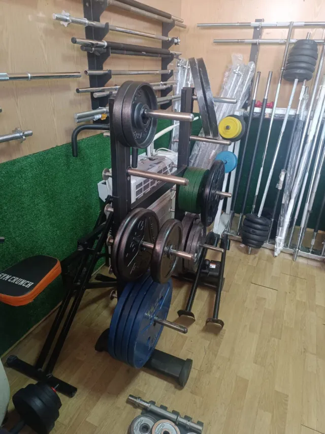 Mancuernas y discos de gimnasio