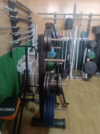 Mancuernas y discos de gimnasio